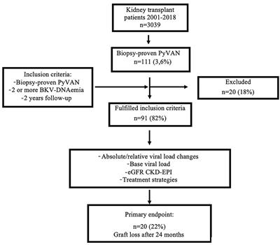 Clinical Relevance of Absolute BK Polyoma Viral Load Kinetics in Patients With Biopsy Proven BK Polyomavirus Associated Nephropathy